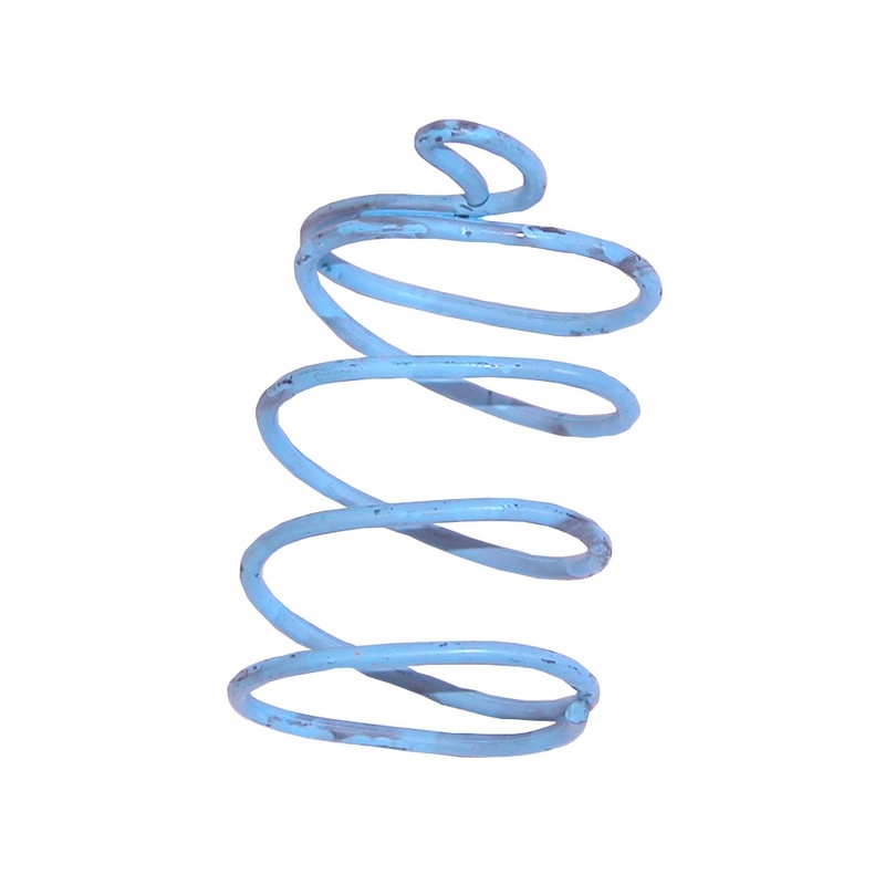 Drum Brake Hold Down Spring